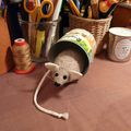 Un rat dans mon atelier / A rat in my studio...