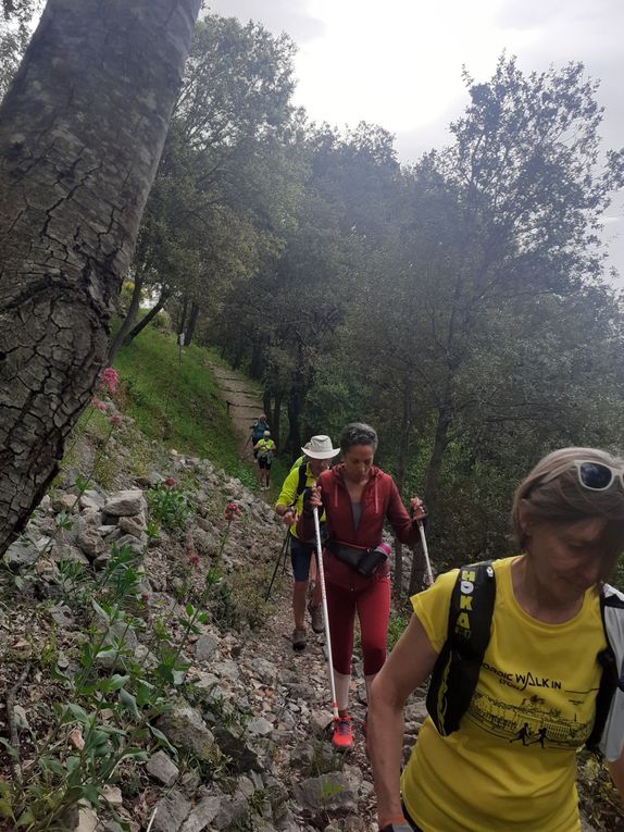 13km dans les collines de Flassans pour 13 sportifs 