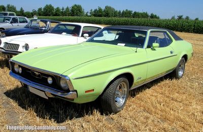 Ford mustang grandé de 1971 (6ème Fête Autorétro étang d' Ohnenheim)