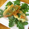 Beignets de consoude sur lit de salades sauvages