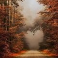 Le Bel Automne 2021 de La Fée Brodeuse, 22e inscrite