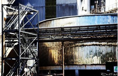 ***CELLULOSE du PIN**['Paysages industriels]