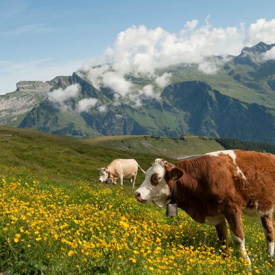 Encore une photo de vacances