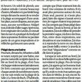 Surveillance des plages