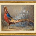 Ferdinand Von Rayski, a Golden pheasant. Germany, circa 1826