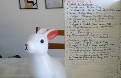 T'as lu quoi, cette année ?