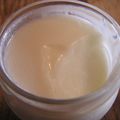 Yaourts à la gelée de géranium : mes premiers yaourts