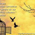 Incapacités - Possibilités - Jossy Chacko (Citation)