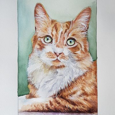 Aquarelle... Un beau chat ROUX par Valérie Albertosi