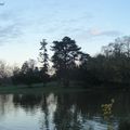 bois de vincennes Paris Novembre 2010