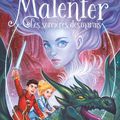 Malenfer, Tome 4, Terres de magie : Les sorcières des marais