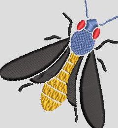 La mouche
