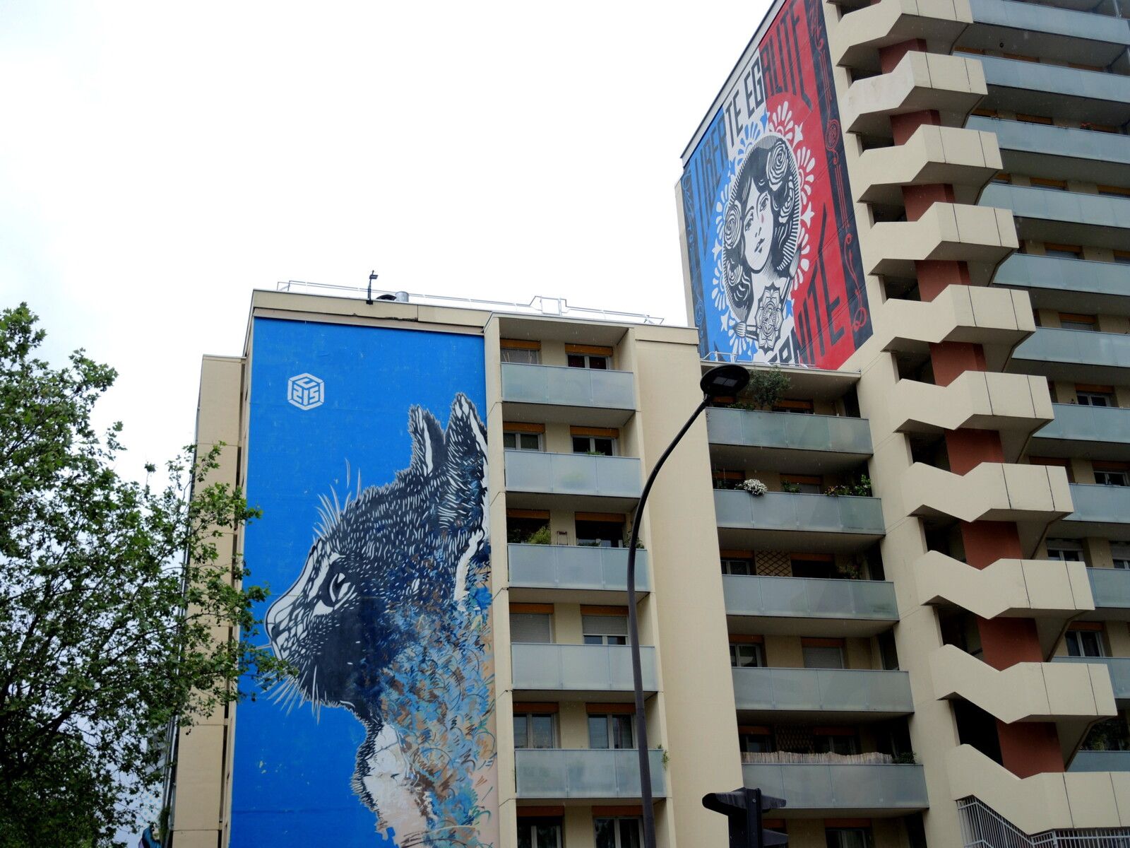 Paris, Boulevard Paris 13, C215 et Shepard Fairey  (75)
