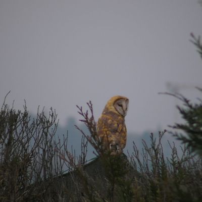 Les vacances passent trop vite....