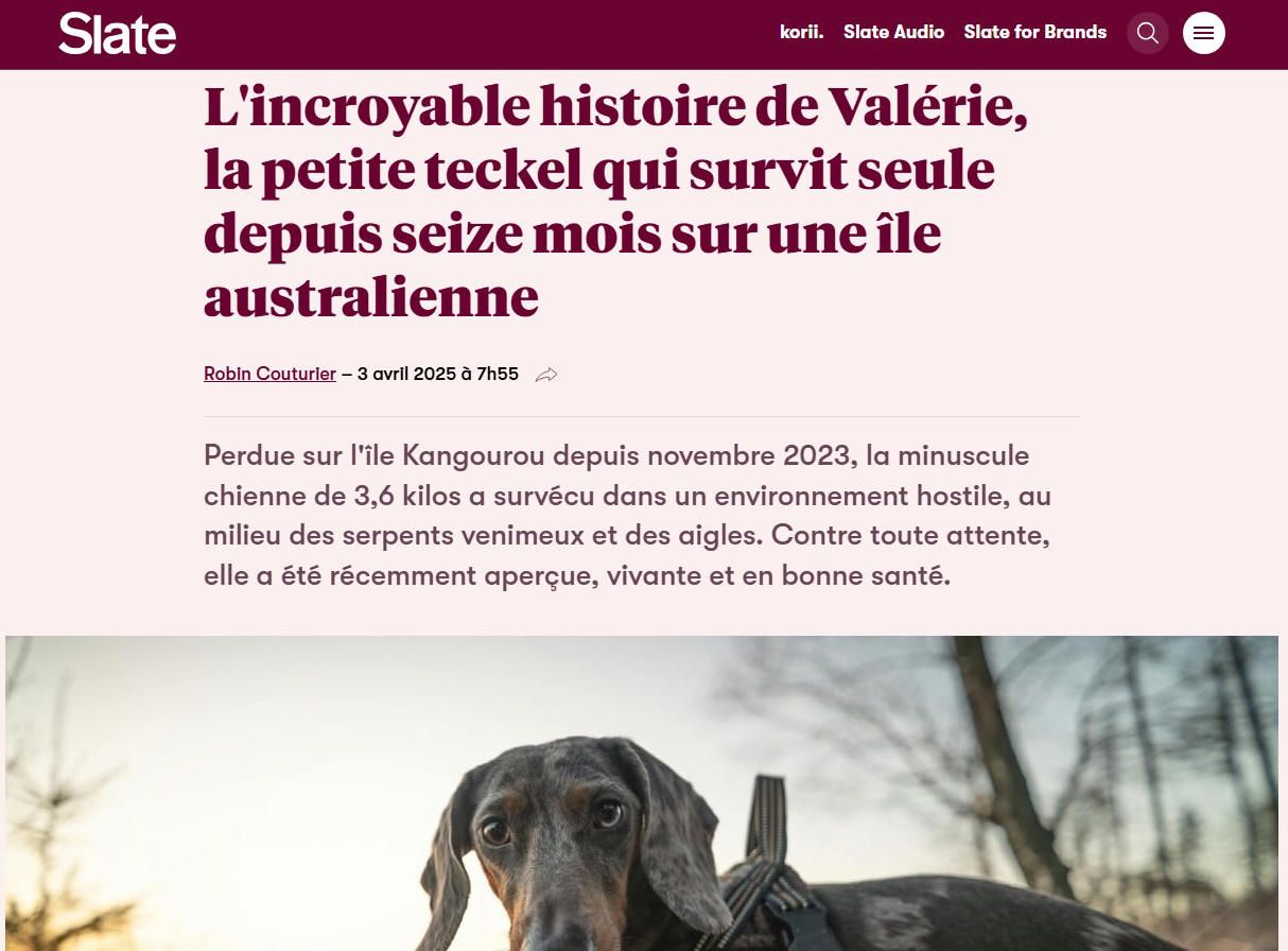 Courage petite siensienne