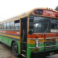 Belize : Punta Gorda - bus