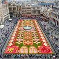 Tapis de fleurs