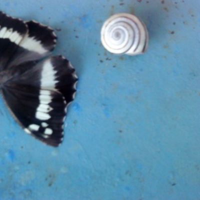 Thought of the Day: On Happiness