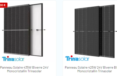 La transition énergétique avec les panneaux solaires de Trinasolar