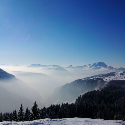 Mardi 16 novembre 2010 : Re-re-re-retour