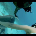 GoPro: Director's Cut - Shark Riders