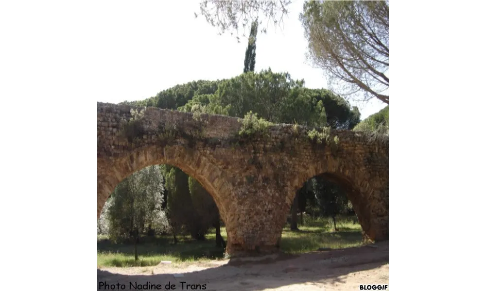 L'aqueduc romain de Fréjus