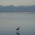 Abel Tasman