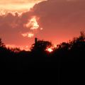 Bretagne ... Feu de forêt ou Volcan ???