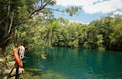 Berry Springs et arrivée à Darwin