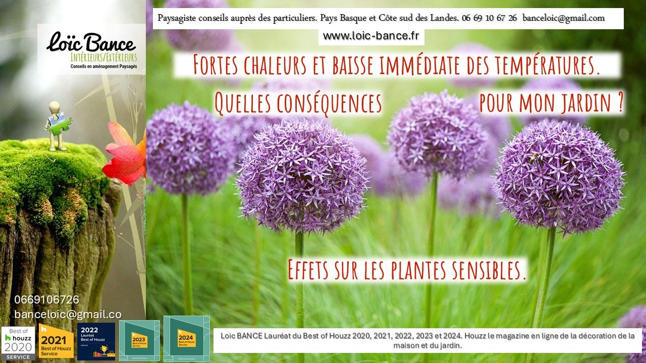 Paysagiste Pays Basque Paysagiste Landes Plantes sensibles aux fortes chaleurs et canicules