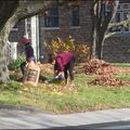 La corvée du ramassage de feuilles.....