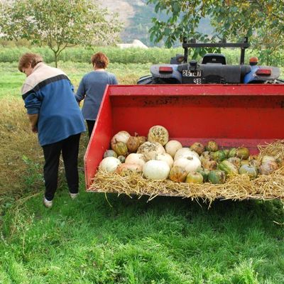 La Fête d'Automne : une première à succès !!