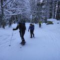 16/02/13 : Ski de rando : Sur Cou : face est (1808m)