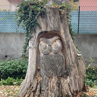 Mercredi 12 novembre 2025 La ville de Cébazat après avoir quitté le beau parc ( QQ explications suivent en bas de page) 