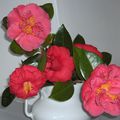 CAMELIAS