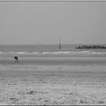 Détente à Dunkerque plage