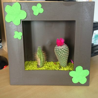 Compositions de Plantes 