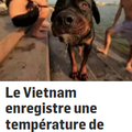 Le C à lire les infos