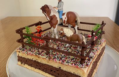 Louison fête ses 9 ans : Anniversaire Equestre - Acte 2 : le jour J et les activités