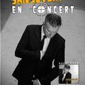 sanseverino ce soir en concert à Lucé