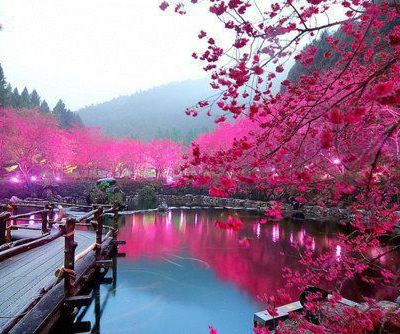 L'eau a-t-elle une mémoire?