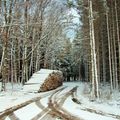 Chauffage au bois : économique et écologique, à condition de respecter les bonnes pratiques