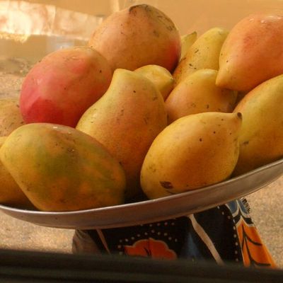 Safari et vie chez les Masaï