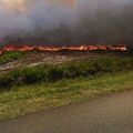 feu de forêt
