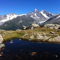 Le glacier d'Argentière aura disparu avant la fin du siècle - The Argentiere glacier will disappear before end of the century