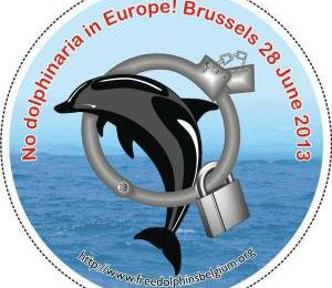 28 juin 2013 à Bruxelles tous contre les delphinariums en Europe