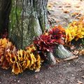 Fête des feuilles et land art 