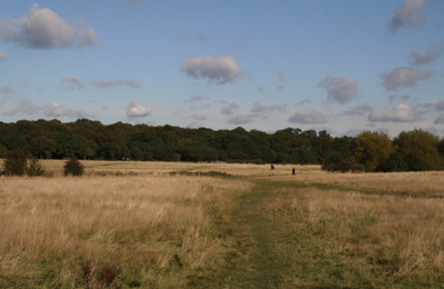 Epping Forest