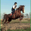Festival médiéval et concours d’équitation les 22 et 23 juin 2013