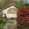 Près de la fontaine - Ddo